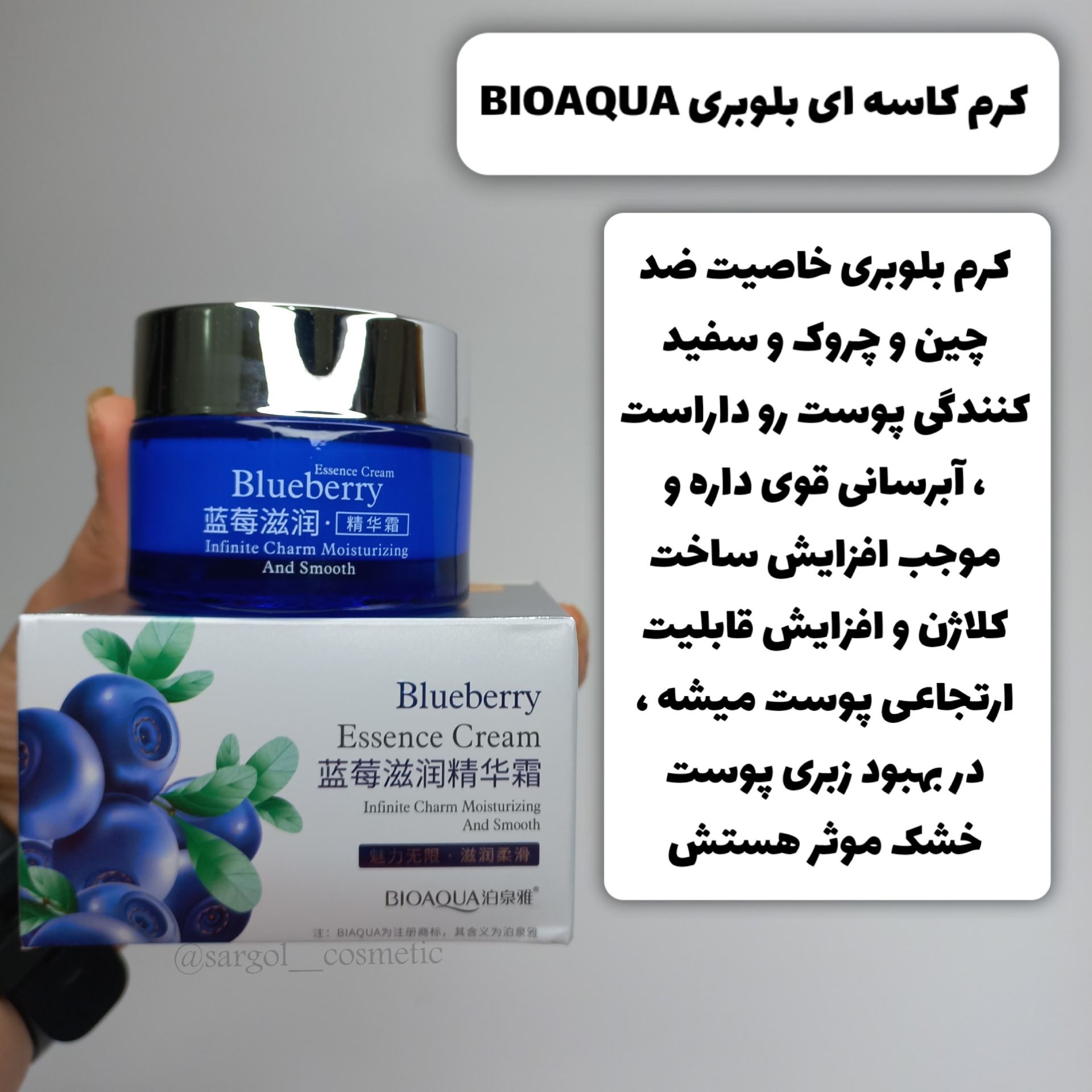 کرم کاسه ای بلوبری نمای ۲